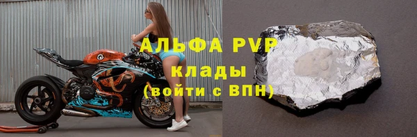 ECSTASY Покачи