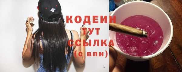 ECSTASY Покачи
