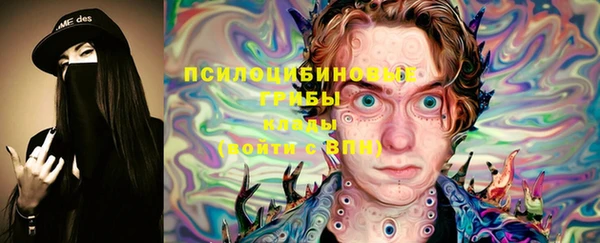 ECSTASY Покачи