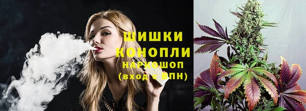 ECSTASY Покачи