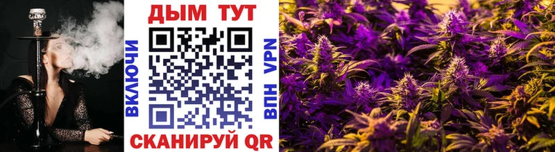 ссылка на мегу ссылка  Ядрин  Конопля SATIVA & INDICA  наркошоп 